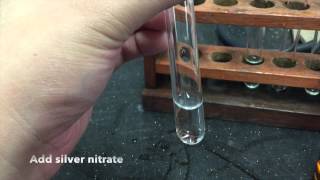 Anion Test  Chloride Ions [upl. by Hoskinson]