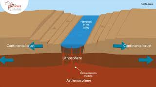 Tectonic Processes  Compilation [upl. by Yerhcaz772]