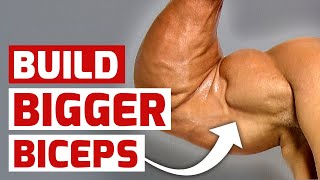 5 Arm Workout Hacks for Bigger Biceps [upl. by Haim]