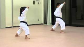 Heian Shodan [upl. by Arlen]