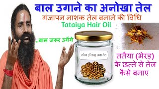 गंजापन नाशक ततैया भेरड़ के छत्ते का तेल I Tataiya Hair Oil I Tataiya Chatta Oil I Oil for Baldness [upl. by Astrid219]