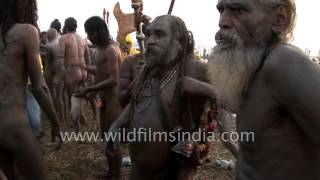 Naga Sadhus gather for the Kumbh Mela  India [upl. by Lobiv]