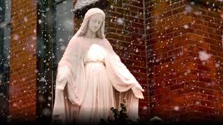 Immaculate Mary w lyrics  Catholic Hymn [upl. by Bruno]