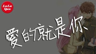 抖音《愛的就是你》劉佳【動態歌詞Lyrics】 [upl. by Ahcsim]