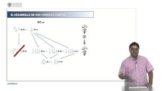 El retrocruzamiento con un gen recesivo  5795  UPV [upl. by Hoban314]