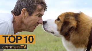 TOP 5 Dog Movies  Trailer [upl. by Daveda]