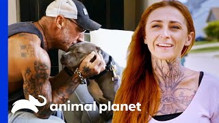 Extremely Shy Dog Finally Gets Adopted  Pit Bulls amp Parolees [upl. by Beckerman270]