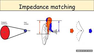 IMPEDANCE MATCHING [upl. by Jemie]