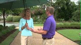 GardenSMART in Wilmington NC Garden Tour [upl. by Meehahs762]