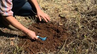 How to Collect a Soil Sample for Lab Analysis [upl. by Valli292]