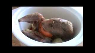 Ring Necked Pheasant Slow Cooker Recipe [upl. by Ailgna]