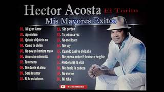 Hector Acosta Mis Mayores Exitos en Bachata [upl. by Sirah]