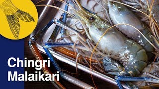 Chingri Malaikari Recipe—Bengali Prawn Malai Curry—Bengali Prawn Curry—Noboborsho Special [upl. by Frasch]