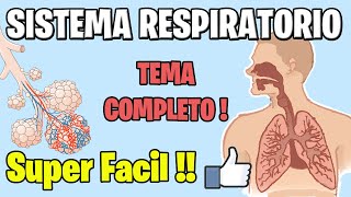 Anatomía y Fisiología del SISTEMA RESPIRATORIO COMPLETO MEJOR EXPLICADO [upl. by Lesiram]