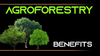 INFORMATION 25  AGROFORESTRY AND ITS BENEFITS [upl. by Hareehat262]