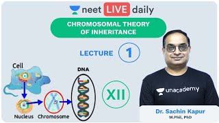 Genetics  Lecture 1  Chromosomal Theory  Unacademy NEET  LIVE DAILY  NEET Biology  Sachin Sir [upl. by Brockwell]