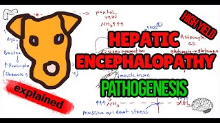 Hepatic Encephalopathy Explained  Causes Symptoms amp Treatment [upl. by Berger]