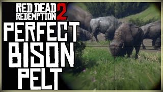 HOW TO GET A PERFECT BISON PELT  RED DEAD REDEMPTION 2 PRISTINE BISON HUNT [upl. by Latoyia]