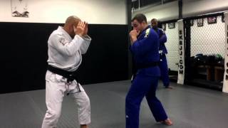 Eddie Kone Academy  Basic Striking concepts for Gracie JiuJitsu [upl. by Grose]