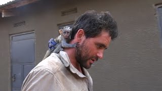 Baby Vervet Monkey Rescued from African Brush Fire [upl. by Anh]