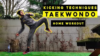 TUTORIAL  Taekwondo Kicking Techniques [upl. by Pascasia]