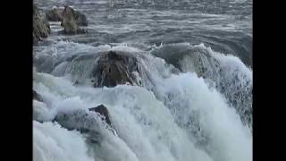 Dhuandhar Waterfall Bhedaghat Jabalpur Madhya Pradesh India  News Station [upl. by Atahs301]