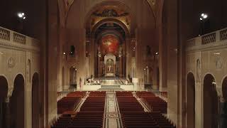 The Basilica of the National Shrine of the Immaculate Conception America’s Catholic Church [upl. by Delisle163]