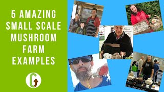 5 Amazing Small Scale Mushroom Farm Examples  GroCycle [upl. by Ulyram]