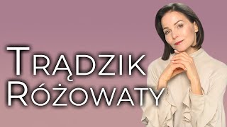 TRĄDZIK RÓŻOWATY [upl. by Floro991]