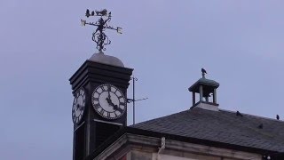 Garstang Town Hall Clock [upl. by Abbi410]