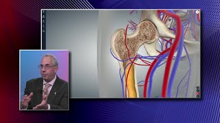 Osteoporosis Medications  Pharmacology  Musculoskeletal  LevelUpRN [upl. by Eiuqnimod747]