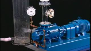 NASH Liquid Ring Vacuum Pump Reliability [upl. by Bourgeois418]