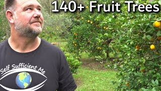 EVERY Fruit Tree Were Growing Full Garden Tour [upl. by Enattirb]