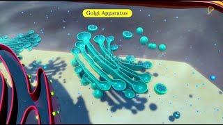 Practicallys Concepts  Golgi Apparatus  LearnPractically [upl. by Eelytsirk239]