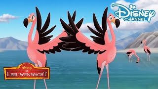 De Leeuwenwacht  Liedje Go Go Flamingo 🦁 🎶  Disney Channel NL [upl. by Tadd]