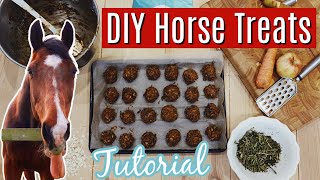 DIY Horse Treats  Super Easy amp Quick  Tutorial  Lock Down Day 24 [upl. by Assirual]