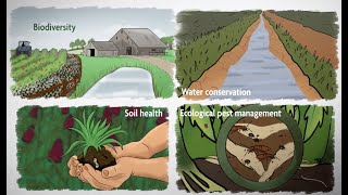 What is Sustainable Agriculture Episode 1 A WholeFarm Approach to Sustainability [upl. by Etnovaj]