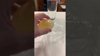 Egg Osmosis and Diffusion Lab part 5 [upl. by Atikin710]