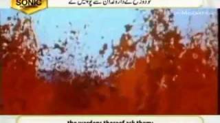 Sura Mulk  Beautiful Recitation by Qari Syed Sadaqat Ali [upl. by Africah712]