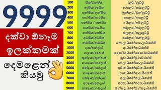 දෙමළෙන් 10000 ට ගණිමු  Tamil Numbers 110000  Spoken Tamil [upl. by Ynnej]