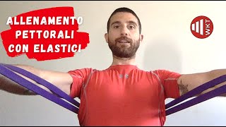 ALLENAMENTO COMPLETO PETTORALI CON ELASTICI [upl. by Malcom]