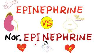 Epinephrine vs NorEpinephrine [upl. by Akiehsat]