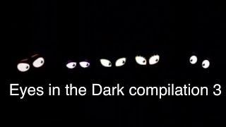 Eyes in the Dark Compilation 3 [upl. by Erual36]