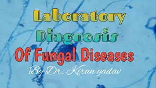 Microbiology lectureLaboratory Diagnosis of fungal diseasesFungal IdentificationMycology [upl. by Enirok]