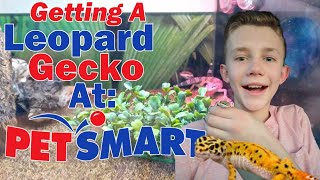 Getting a Leopard Gecko at PetSmart [upl. by Reiniar394]