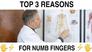 Top 3 Causes For Numbness In Your Fingers [upl. by Siuluj]