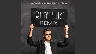 Ani Yehudi feat ZELIG Remix [upl. by Alben740]