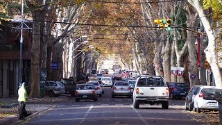 Walking in Mendoza  Argentina [upl. by Nortad593]