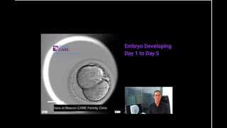 Development of hatching Embryo blastocyst stage [upl. by Rennie]