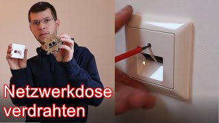 Netzwerkdose verdrahten ElektroM [upl. by Addie]